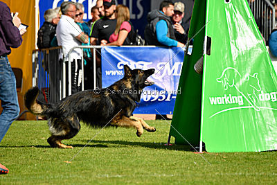Hyperion von den Donnersöhnen