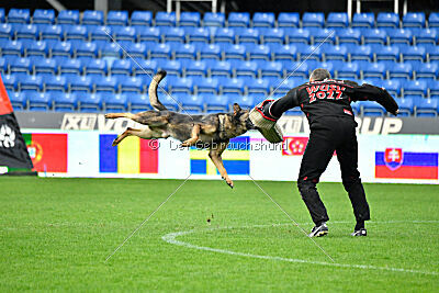 Iannys z Lomeckeho polesi