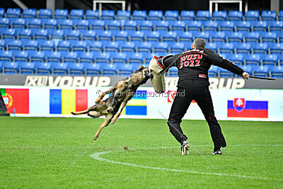 Iannys z Lomeckeho polesi