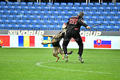 Iannys z Lomeckeho polesi