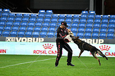 Iannys z Lomeckeho polesi