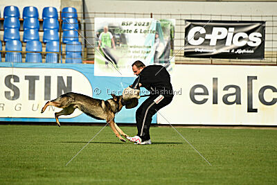 Iben vom Wällerhorst