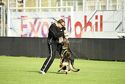 Iben vom Wällerhorst