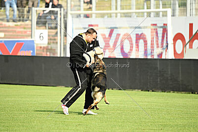 Iben vom Wällerhorst