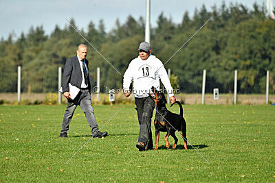 Ice-T vom Markischen Leo
