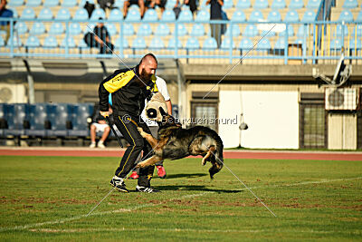 Iceman von der Reichen Wiese