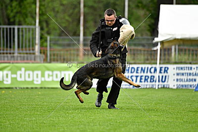 Iceman von der Schiffslache