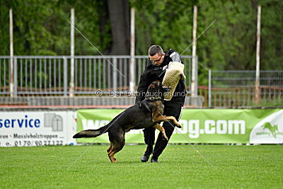 Iceman von der Schiffslache
