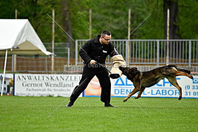 Iceman von der Schiffslache