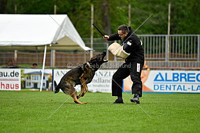 Iceman von der Schiffslache