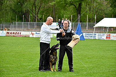Iceman von der Schiffslache