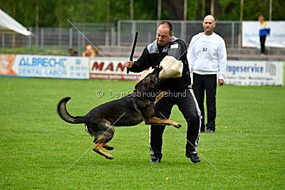 Iceman von der Schiffslache