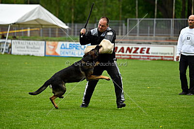 Iceman von der Schiffslache