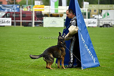 Iceman von der Schiffslache