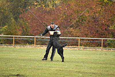 Ichigo vom Schwarzen Humor