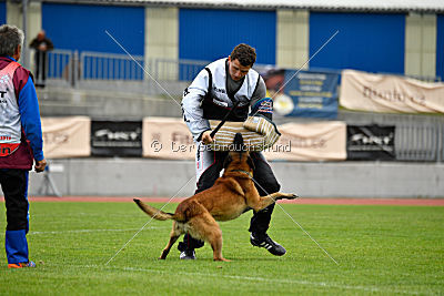 Ickx de la Croisée des Loups