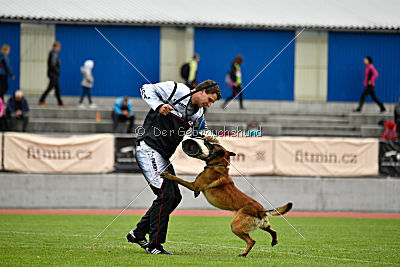 Ickx de la Croisée des Loups