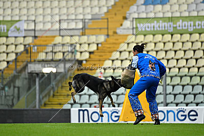 Iga Hanzo vom Haus M.1