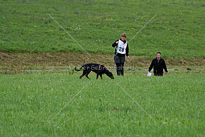 Imalah vom Hexenzauber