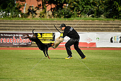 Imalah vom Hexenzauber