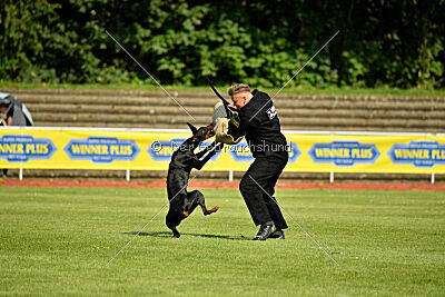 Imalah vom Hexenzauber