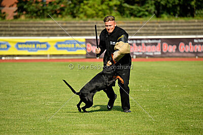 Imalah vom Hexenzauber