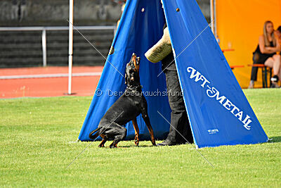 Imalah vom Hexenzauber