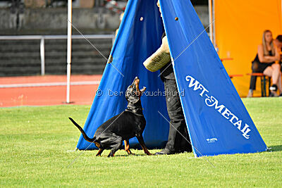 Imalah vom Hexenzauber