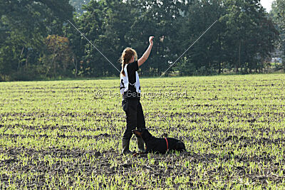 Imalah vom Hexenzauber