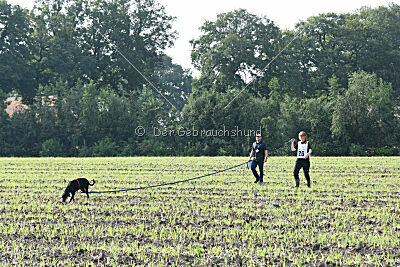 Imalah vom Hexenzauber