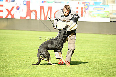 Imalla vom Haus Mink