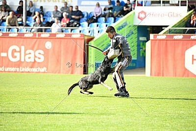 Imalla vom Haus Mink