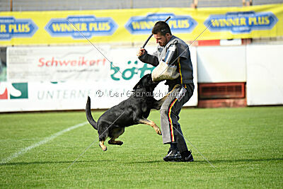 Imalla vom Haus Mink