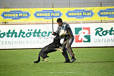 Imalla vom Haus Mink