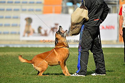 Independent Spirit's I'Ro