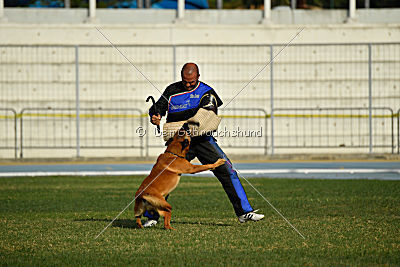 Independent Spirit's I'Ro