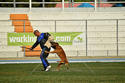 Independent Spirit's I'Ro