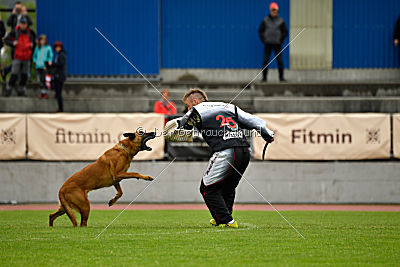 Independent Spirit's Iloy