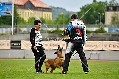 Independent Spirit's Iloy