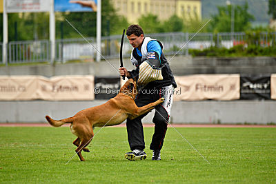 Independent Spirit's Iloy