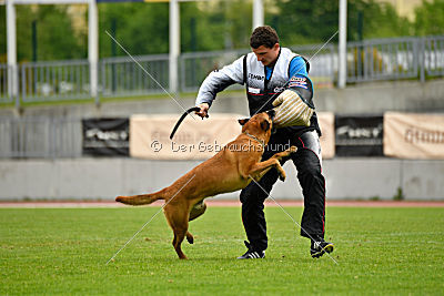 Independent Spirit's Iloy