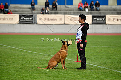 Independent Spirit's Iloy