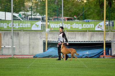 Independent Spirit's Iloy