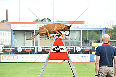 Independent Spirit's Iloy