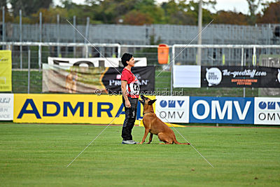 Independent Spirit's Iloy