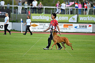 Independent Spirit's Iloy