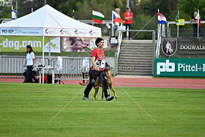 Independent Spirit's Iloy