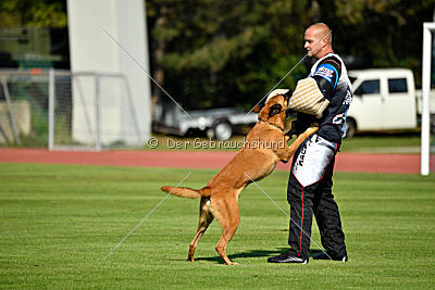 Independent Spirit's Iloy