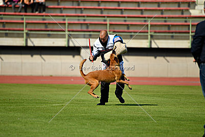 Independent Spirit's Iloy