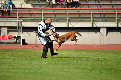 Independent Spirit's Iloy